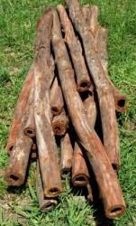 Authentic-Didgeridoo-Blanks.jpg