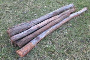Blanks for Carving
