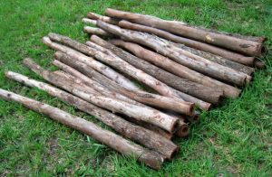 Standard Blanks
